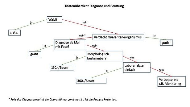 Kostenübersicht Diagnose und Beratung