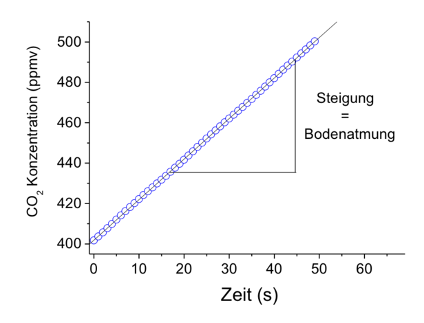 Die linear ansteigende CO2-Konzentration ist die Bodenatmungsrate.