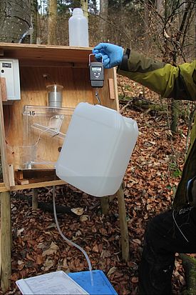Wägen einer Stammabflussprobe auf der LWF-Fläche Lägeren AG. 