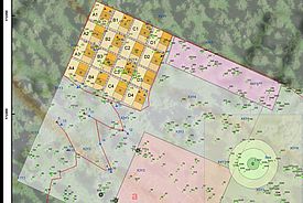 GIS-Karte der Fläche Beatenberg BE. 