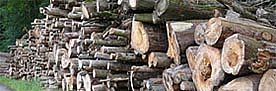 Holzpolter