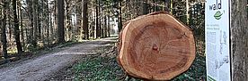 Forest uses. © Michèle Kaennel Dobbertin, WSL