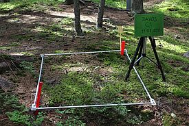 Vegetationsquadrat, in dem die Bedeckung durch verschiedene Pflanzenarten aufgenommen wird.