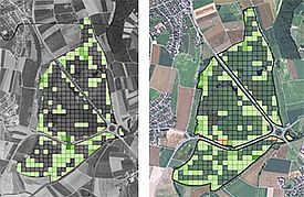 Verbuschungsgrad pro Rasterzelle in einem Flachmoor-Objekt. Die Intensität des Grüns ist proportional zur Deckung der Bestockung. Bild: WSL